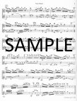 New Duets Op40
