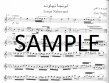 New Egyptian - Arabic Sufic Art Music