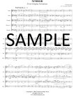 Nimrod from Enigma Variations