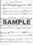 Nine German Arias