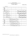 Nordic Spirits for Flute Choir