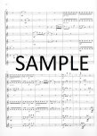 Notebook for Tamino