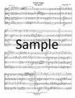 O Holy Night for Flute Quartet
