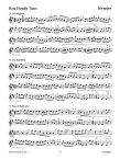 One Hundred Fifty Gems of Irish Music for Flute