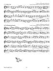 One Hundred Fifty Gems of Irish Music for Flute