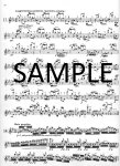 Op107 Thirty Studies