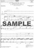 Op119 Trio