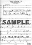 Op119 Trio in G