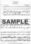 Op119 Trio in G Major