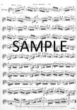 Op132 Twenty Etudes
