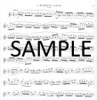 Op132 Twenty Etudes