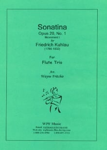 Op20 #1 Sonatina (Movement 1)