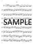 Op21 Twenty-Four Etudes