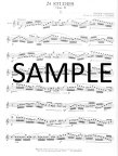 Op21 Twenty-Four Etudes