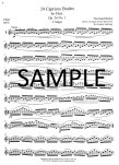Op26 24 Caprice Etudes