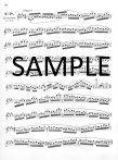 Op26 Twenty-four Etudes (Caprices)