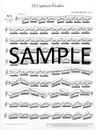 Op26 Twenty-four Etudes (Caprices)