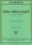 Op30 Trio in D