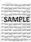 Op30 Twenty-four Etudes