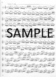 Op30 Twenty-four Etudes