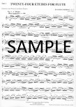 Op33 Twenty-four Etudes