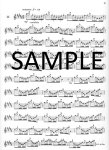 Op33 Twenty-four Etudes (Short Studies)