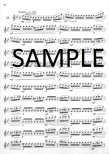 Op33 Twenty-four Etudes (Short Studies)