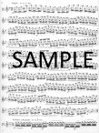 Op37 Twenty-six Etudes