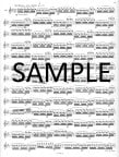 Op37 Twenty-six Etudes