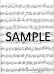 Op37 Twenty-six Etudes (Caprices)