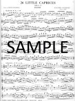 Op37 Twenty-six Etudes (Caprices)