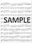 Op41 Eighteen Etudes