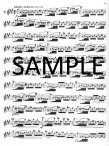 Op60 Twenty-four Etudes (School of Virtuosity)