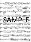 Op60 Twenty-four Etudes (v.1)