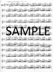 Op63 Twenty-four Etudes (Technical Studies) (ed.Peck)