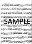 Op63 Twenty-Four Etudes (v.1)