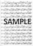 Op63 Twenty-Four Etudes (v.2)