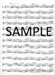 Op63 Twenty-Four Etudes (v.2)