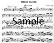 Op80 C07 Three Duets (parts only)