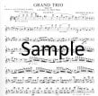 Op90 Grand Trio in b (Parts Only)