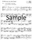 Operatic Highlights (ed.Braun) (score form)