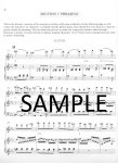 Orchestral Excerpt Practice Book (v.1)
