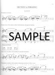 Orchestral Excerpt Practice Book (v.2)