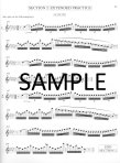 Orchestral Excerpt Practice Book (v.2)