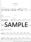 Orchestral Excerpt Practice Book (v.2)