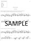Orchestral Excerpt Practice Book (v.2)