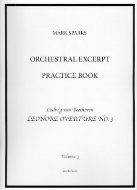Orchestral Excerpt Practice Book (v.3)