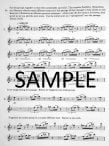 Orchestral Excerpt Practice Book (v.4)
