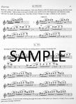 Orchestral Excerpt Practice Book (v.4)