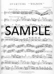 Orchestral Excerpts from the Symphonic Repertoire (v.8)